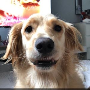 Meet your Posher, Bianca